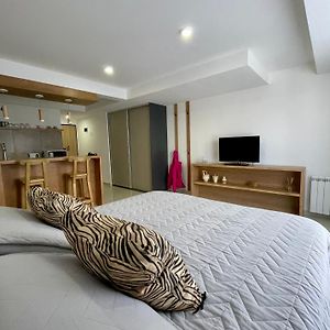 Alquiler De Monoambiente Moderno